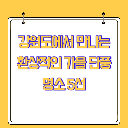 강원도에서 만나는 환상적인 가을 단풍 명소 5선