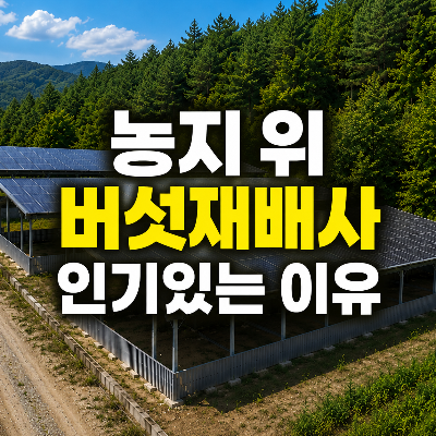 간이버섯재배사에 태양광 올려진 사진