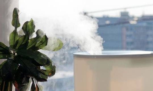 건조하면 가습기 사용하자