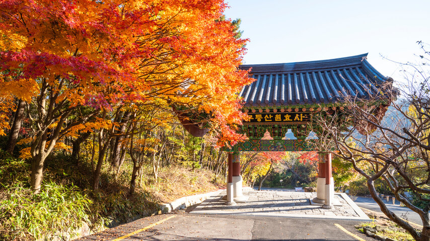 광주 여행지 추천