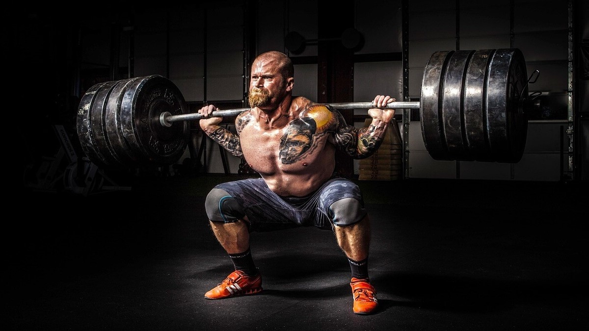 아르기닌·크레아틴 보충제와 관련된 고중량 웨이트 운동 이미지