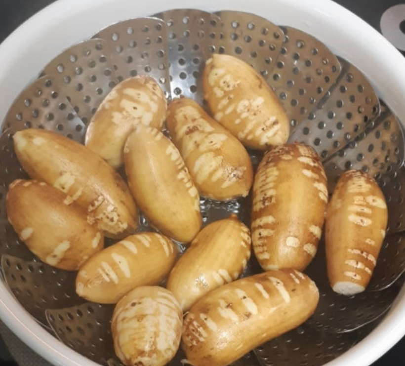 천마-사진