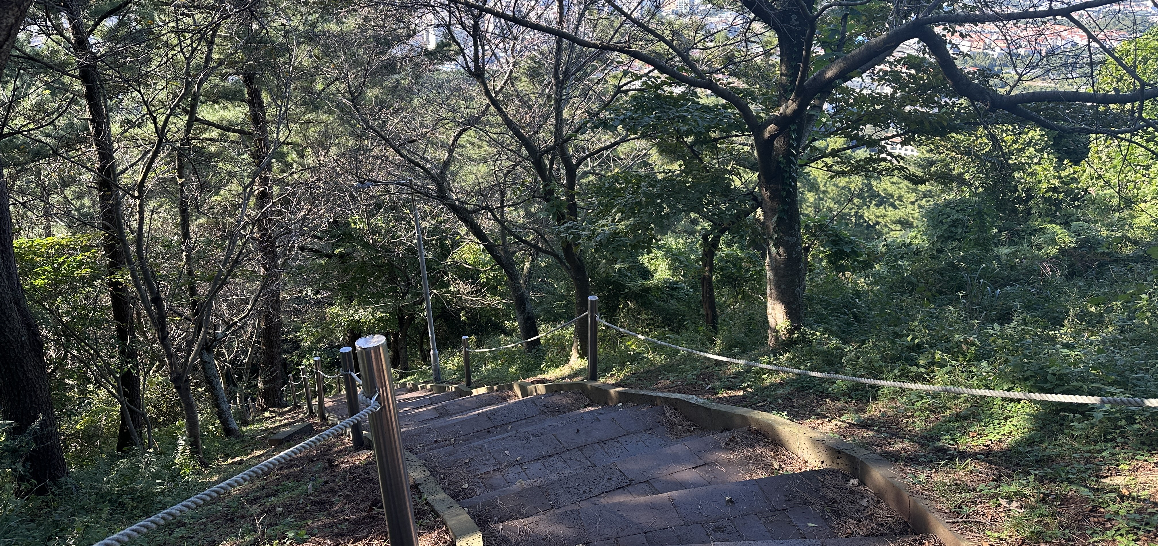 민오름 내려가는길