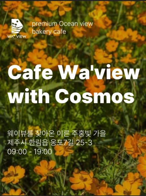 웨이뷰 코스모스축제