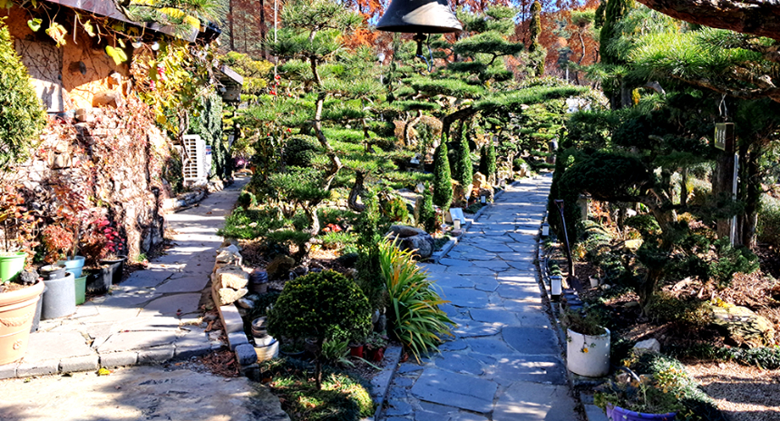 특색있고 아름다운 민간 정원 30선 추천 여행 - 26. 정읍 들꽃마당(제이포렛)