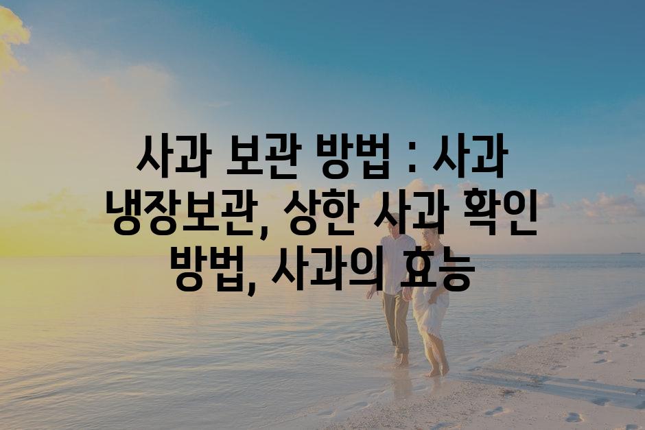 샘플 (4)