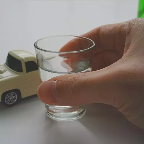음주운전 사진
