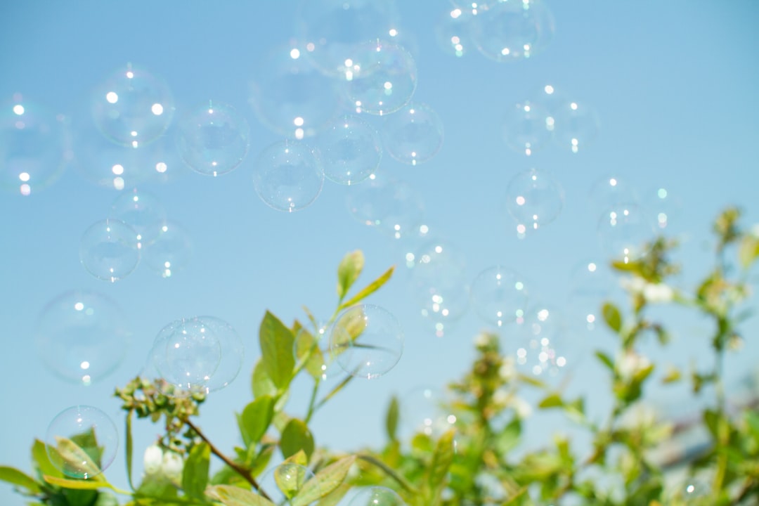 Bubble