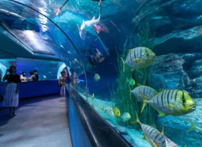 여름철 아이들과 여행-부산 아쿠아리움 and 해수욕장