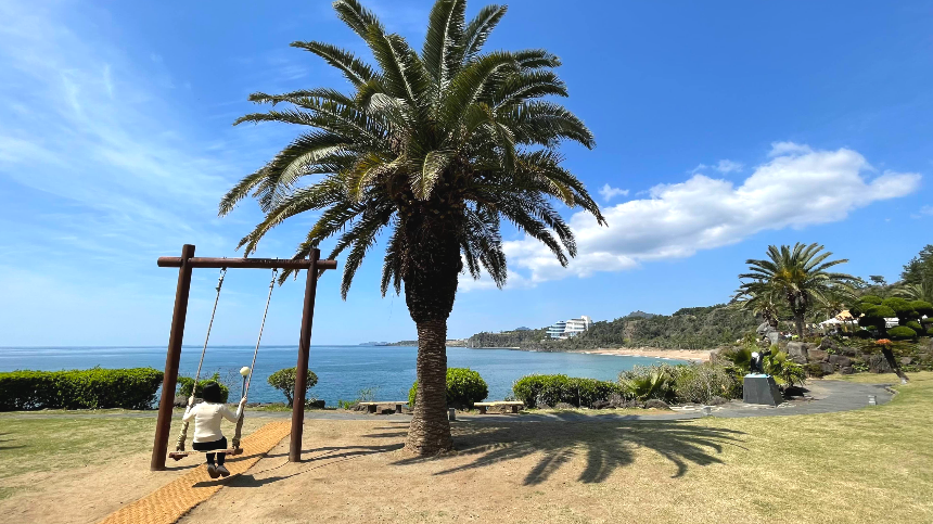 중문 색달 해수욕장 야자수와 그네