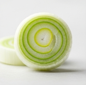 김장 쪽파 심는 시기