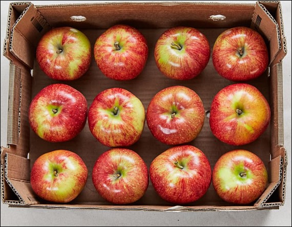 사과초모식초 효능-10