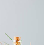 MCT오일 효능&amp;#44; 다이어트와 두뇌 건강에 좋은 이유