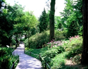 숲나들e 홈페이지 실시간 예약방법