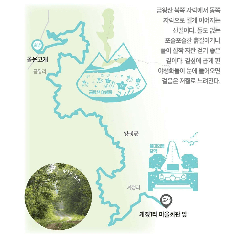 [경기둘레길 양평 29코스 경기숲길] 초록빛 자연 속 힐링 산책로, 금왕산 야생화 탐방기
