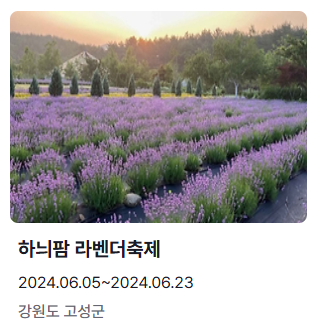 하늬팜 라벤더축제