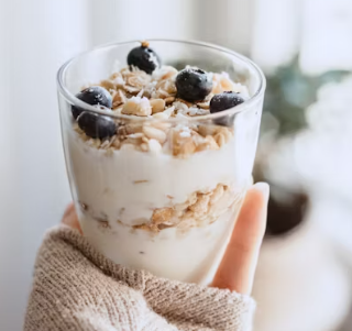 단백질 많은 음식 식물성 동물성