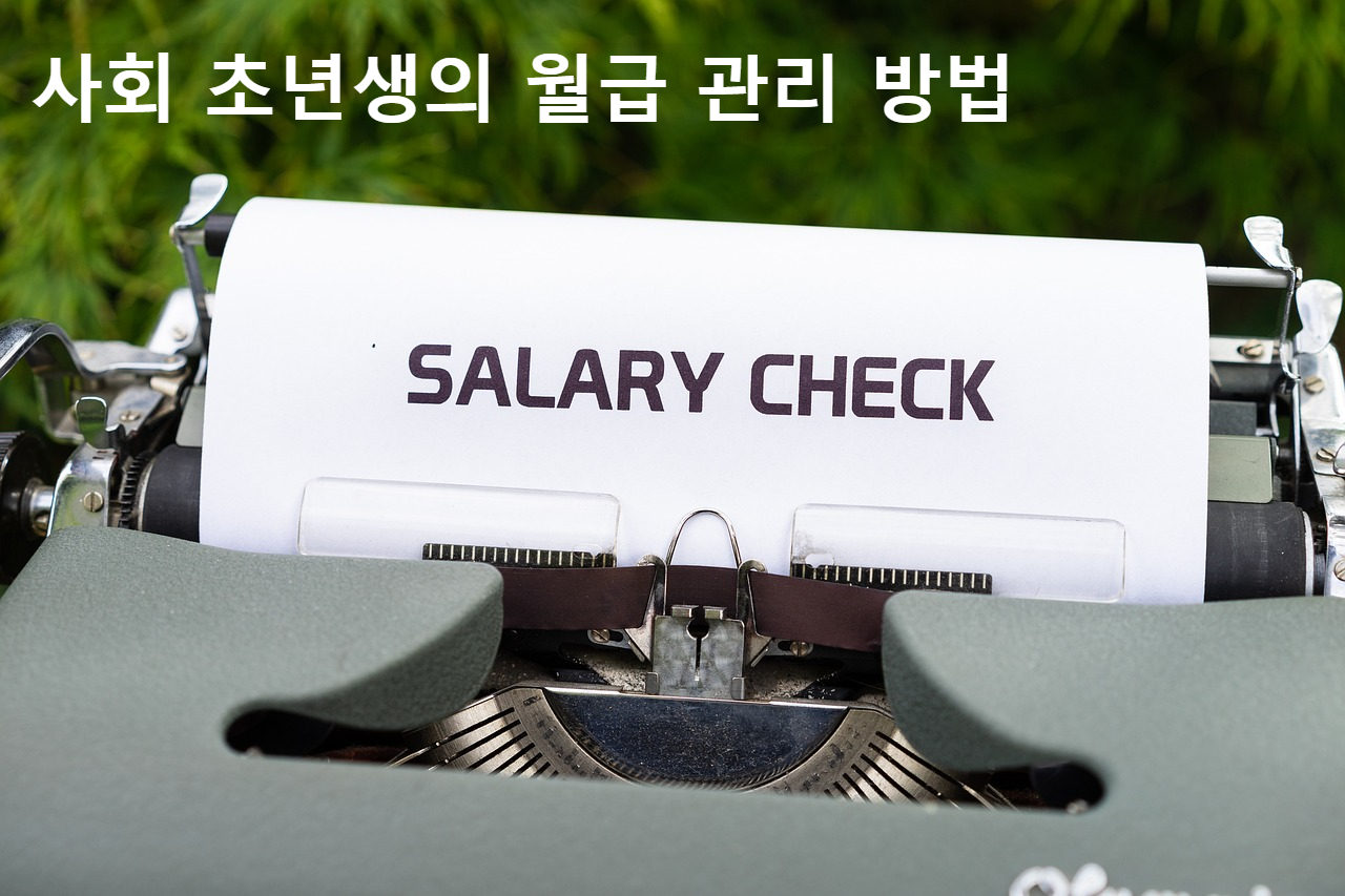 급여 체크
