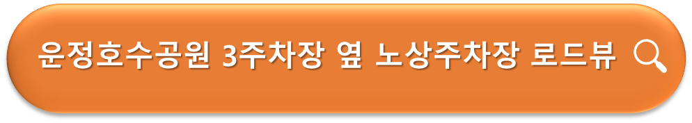 운정호수공원 3주차장 옆 노상주차장 로드뷰