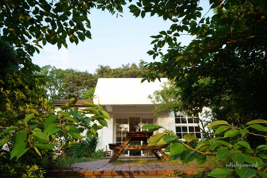 당진 아미미술관 나들이