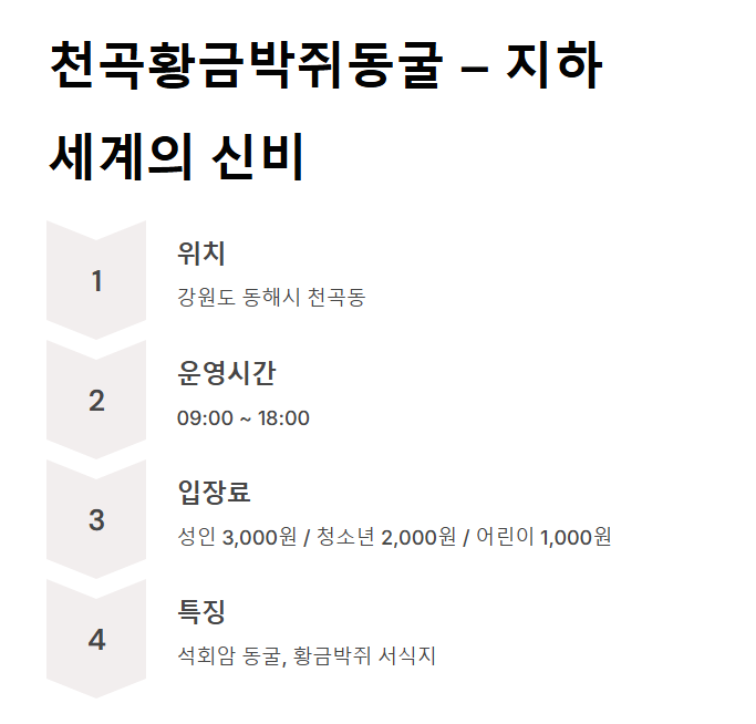 강원도 동해 가볼만한 곳 BEST 7