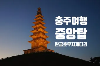 충주 가볼만한곳 베스트10 완벽 관광 가이드_12