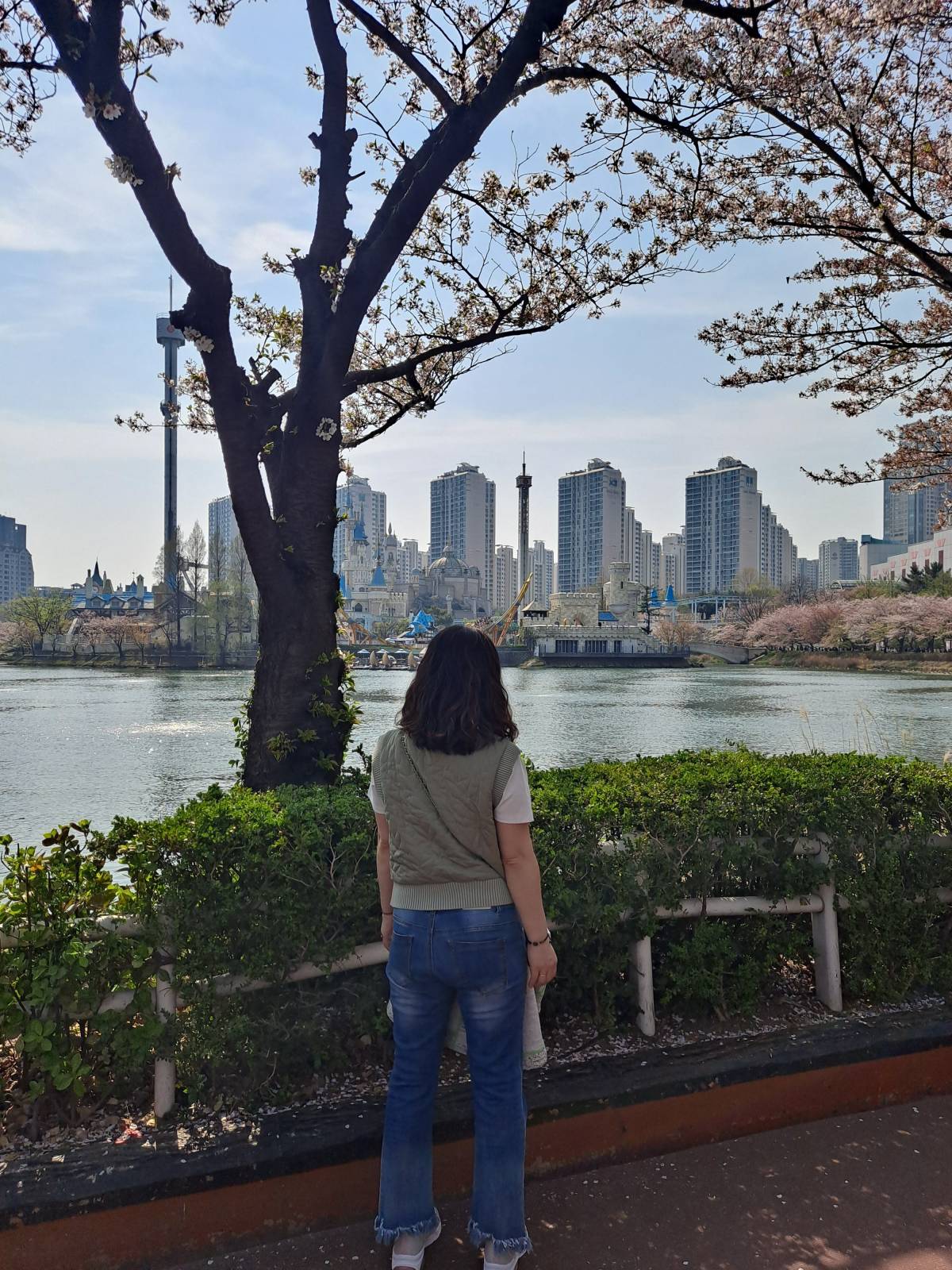 서호에서 바라본 매직아일랜드