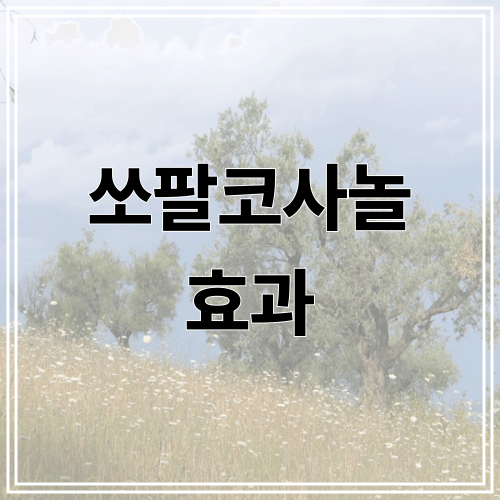 쏘팔코사놀 효과