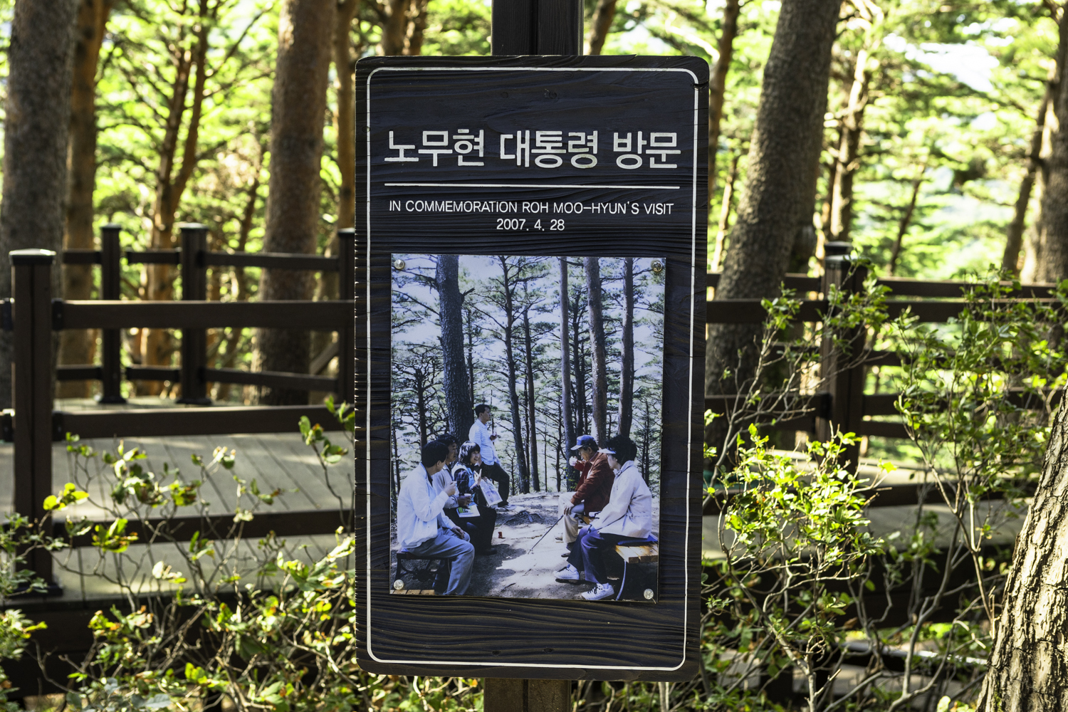 대관령소나무길 노무현 대통령