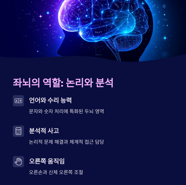 좌뇌의 역활: 논리와 분석
