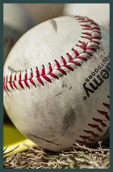 2024 프리미어12 결과 (한국 일본 대만 야구)