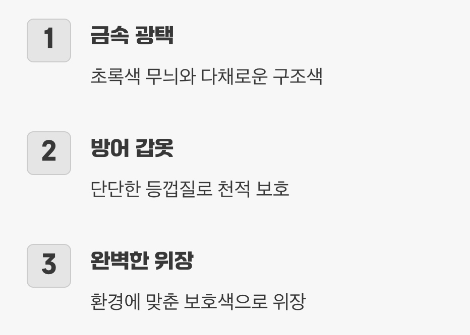 반짝이는 갑옷, 보석 같은 외모