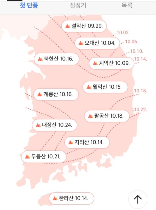 2024 단풍 시기