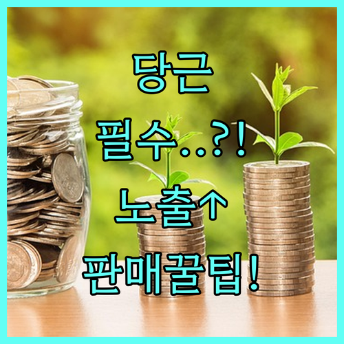 당근마켓 판매글 작성 기본 설정 최적..