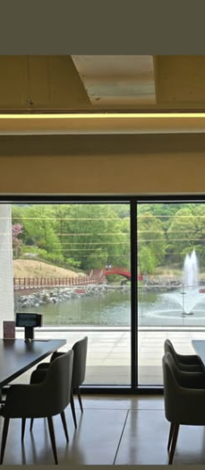 용인 자작나무숲 봄꽃 축제