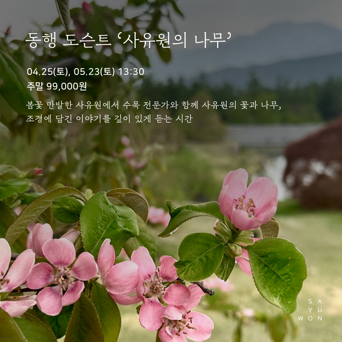 백일홍이 피어 있는 나무 패키지 모습