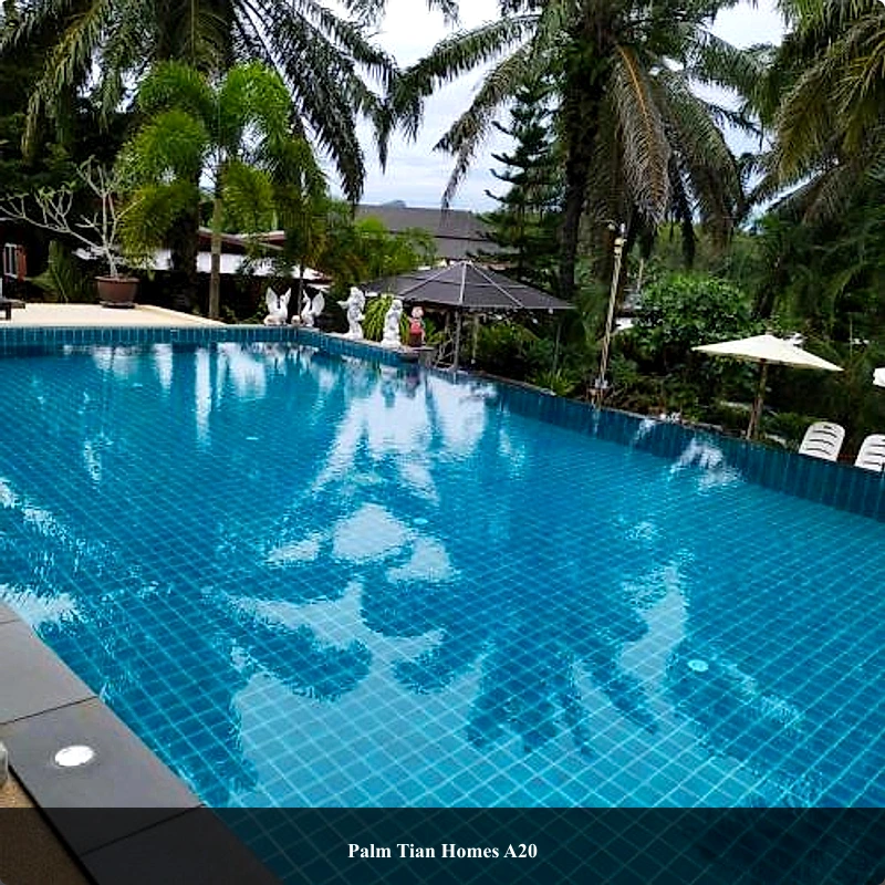 Palm Tian Homes A20_3