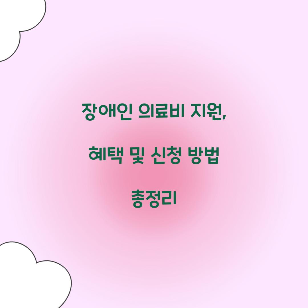 장애인 의료비