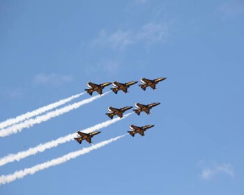 금산인삼축제 프로그램_6