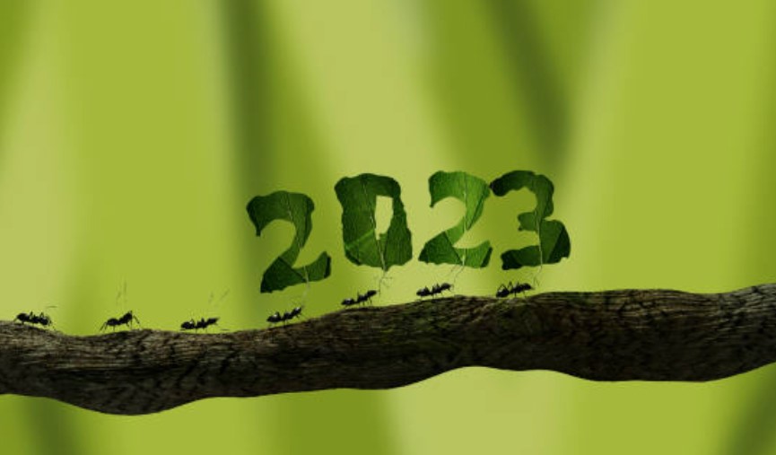 새해 인사말 새해 인사말 좋은글 새해 인사 계묘년 새해인사 계묘년 새해 인사말 새해 인사 문자 새해 인사 고객문자 친구 새해 인사 직장동료 새해 인사 친구 새해 인사말 직장동료 새해 인사말 부모님 새해 인사 부모님 새해 인사말