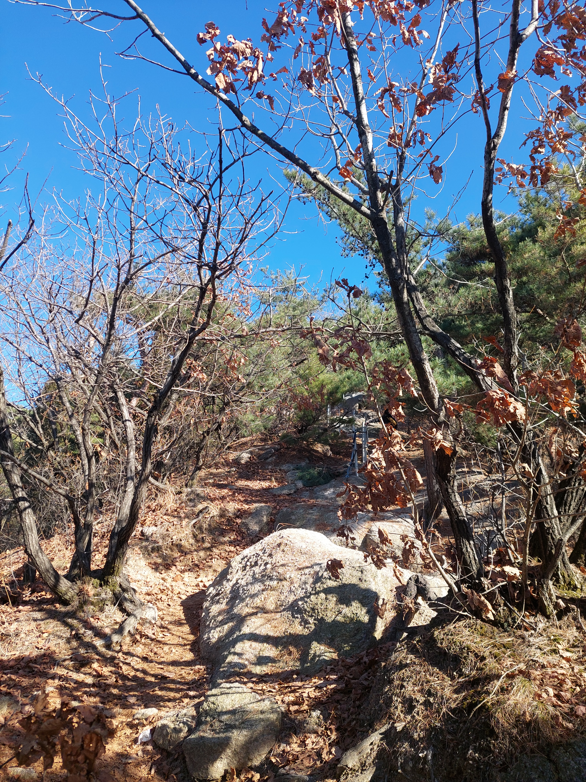 수락산