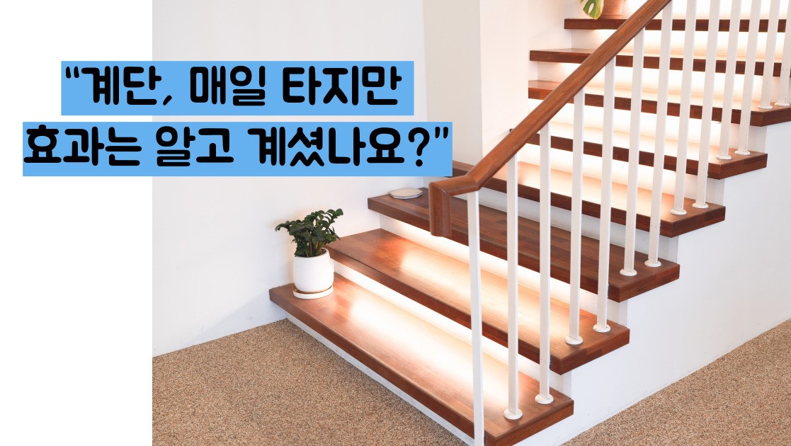 계단오르기 운동효과
