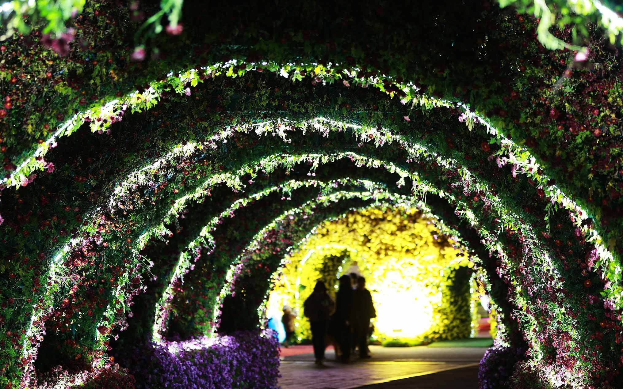 2025 함평 겨울빛축제