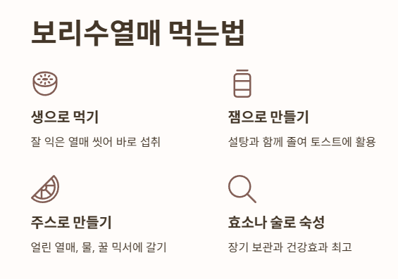 보리수열매 먹는법