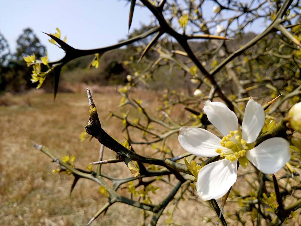 올레11코스: 모슬포에서 무릉 올레까지
