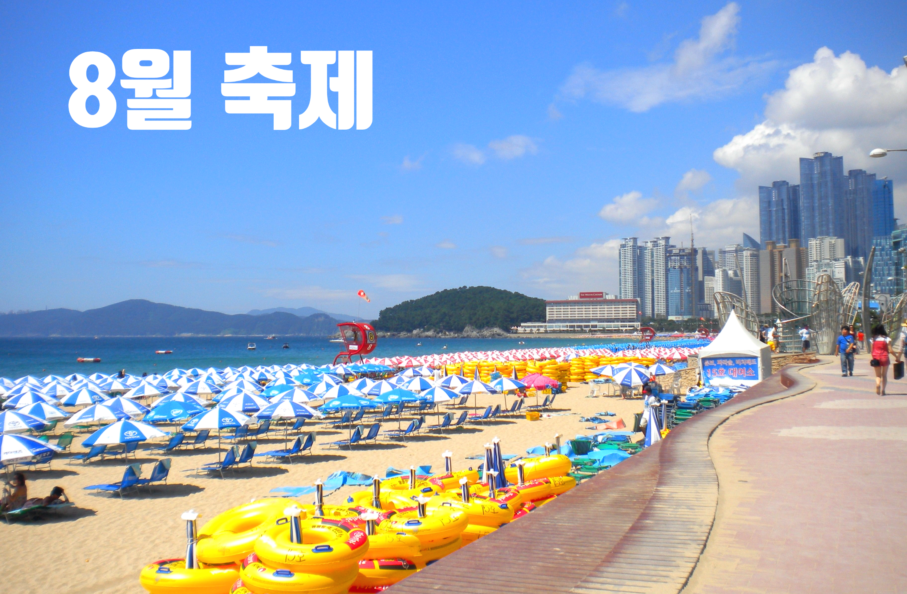 8월축제