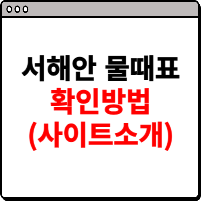 서해안 물때표 시간 확인 사이트