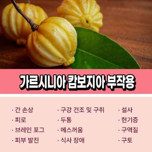가르시니아 부작용