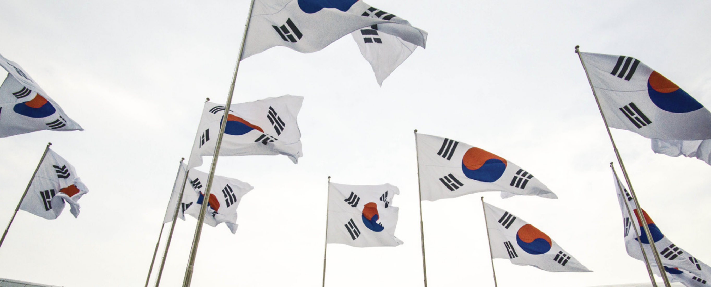 현충일 태극기