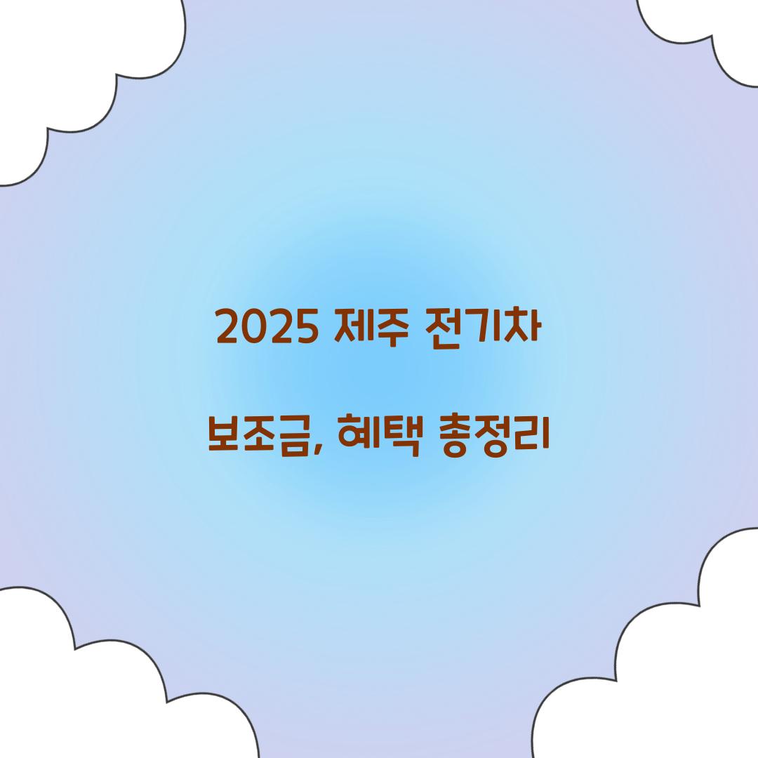 제주 전기차 보조금